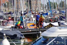 Persoon uit mast gevallen in haven Hoorn