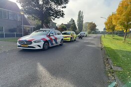 Kopstaartbotsing in Enkhuizen
