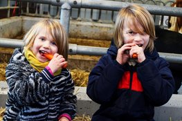 Gezond voedsel op 5 januari in Rundveemuseum in Aartswoud