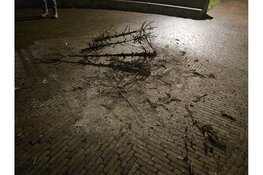 Kerstbomen in brand in Schagen