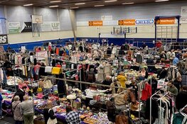 Vlooienmarkt in Vredehof op 16 februari