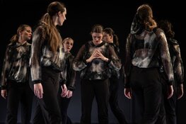 Theater het Pakhuis podium voor de Dansonderneming Danst