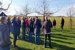 Snoeiles op zaterdag 5 april bij het Rundveemuseum in Aartswoud