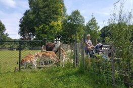 VakantieDoeDingen bij Hertenkamp Enkhuizen