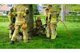 Brandweer in actie op kinderboerderij om vastzittend stiertje te redden
