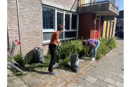 Werknemers Intermaris klussen tijdens Intermaris DOET!