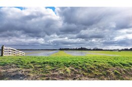 Zomerexpositie in rundveemuseum water vriend of vijand?