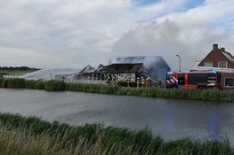 Lammetjes uit brandende schuur gered in Avenhorn