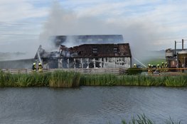 Lammetjes uit brandende schuur gered in Avenhorn