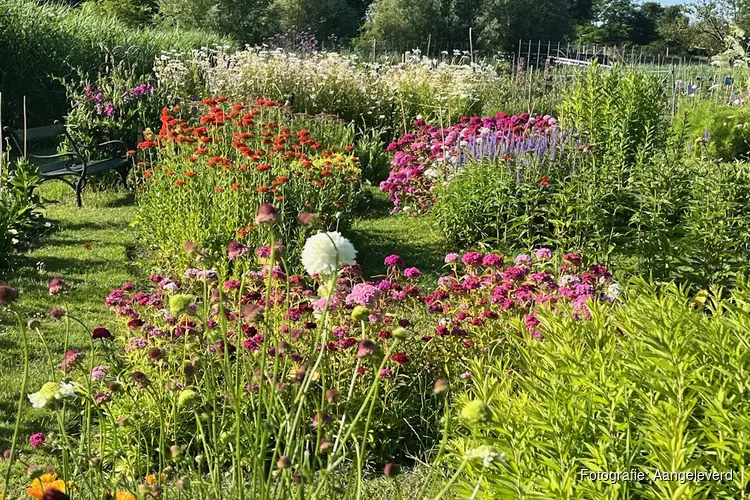 Pluktuin Enkhuizen jarig