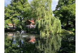 Vlooienmarkt in het Snouck van Loosenpark in Enkhuizen