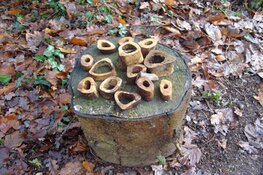 Zomervakantie-activiteiten bij Hertenkamp Enkhuizen