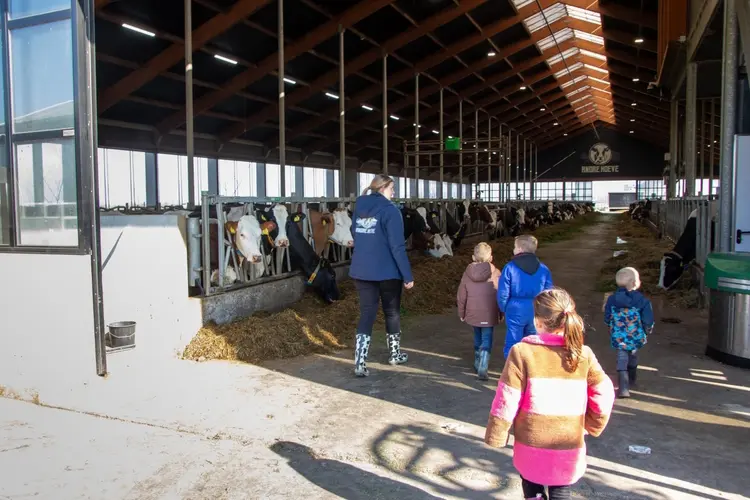 Loeigoeie activiteiten voor jonge mantelzorgers