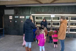 Loeigoeie activiteiten voor jonge mantelzorgers