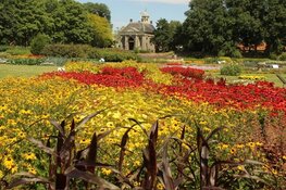 Proef, pluk en bewonder de Garden op zaterdag 2 augustus