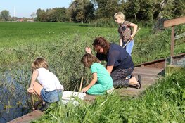 Slootjesdag in Aartswoud bij Rundveemuseum op 17 augustus