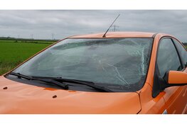 Motorkap vliegt spontaan omhoog en verbrijzeld voorruit auto