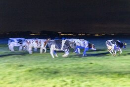 Woning in Wognum loopt forse schade op bij brand