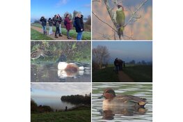 Vogelcursus bij Hertenkamp Enkhuizen