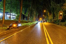 Drie auto's betrokken bij ongeval na vallende tak