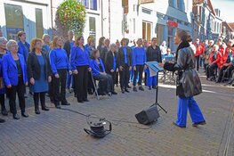 Dit jaar verwelkomt het Koopkorenfestival meer dan 1000 zangers in Enkhuizen!