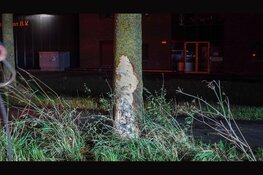 Automobiliste crasht tegen boom in Avenhorn