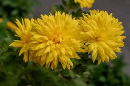 Een persoonlijke afscheidservaring in Sneek