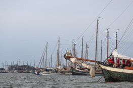 Vier de 50ste Enkhuizer Klipperrace: Een jubileum vol zeilen en feest!