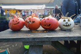 Pompoen snijden bij MAK Blokweer
