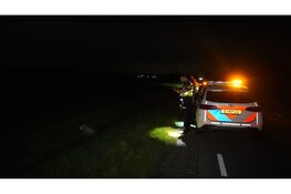 Schaap gewond na aanrijding met auto