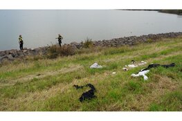 Hulpdiensten groots opgeroepen nadat meerdere kledingstukken zijn aangetroffen op dijk Markermeer