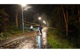 Scooterrijder rijdt tegen omgevallen boom en raakt gewond