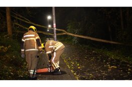 Scooterrijder rijdt tegen omgevallen boom en raakt gewond