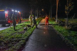 Boom valt op fietspad tussen Spanbroek en Obdam