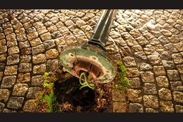 Man klimt in lantaarnpaal en raakt zwaargewond