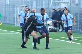 Zeperd voor SEW in Amsterdam