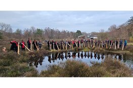 Midwinterhoorn-seizoen gaat weer beginnen!
