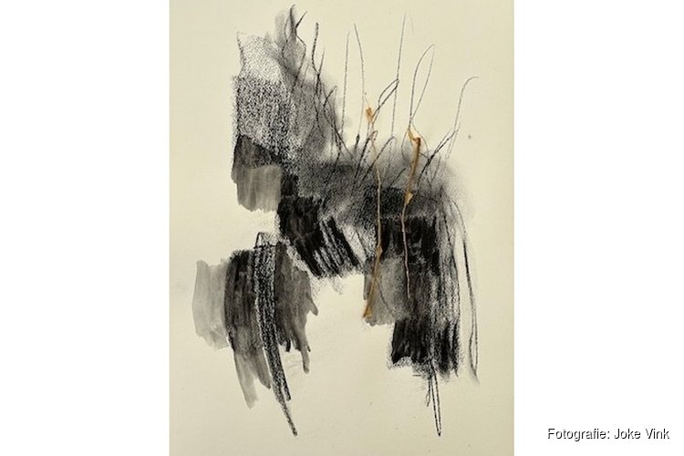 Expositie jaarlijkse ledententoonstelling 'kunst aan de lijn' op 20 december t/m 18 januari