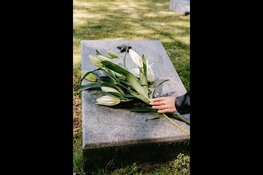 Onderhoud van natuurstenen grafmonumenten: hoe houd je ze mooi