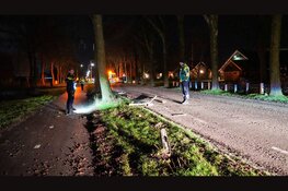 Gewonde nadat auto tegen lantaarnpaal botst in Zwaagdijk-Oost