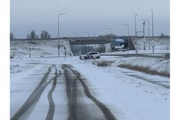 Ontsnapte schapen op de Westfrisiaweg, politie moet hulp bieden