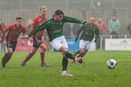 Grasshoppers na rust langs St. George