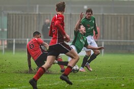 Grasshoppers na rust langs St. George