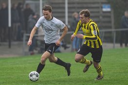 Meervogels heeft aan één goal genoeg bij DWB