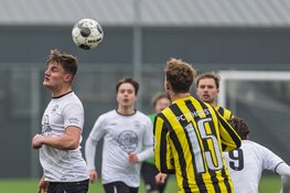 Meervogels heeft aan één goal genoeg bij DWB