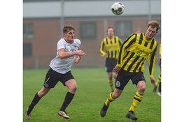 Meervogels heeft aan één goal genoeg bij DWB