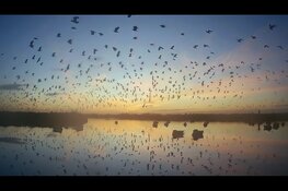 Documentairemaker Pim Giel te gast bij eerste editie Docusalon in Cinema Oostereiland