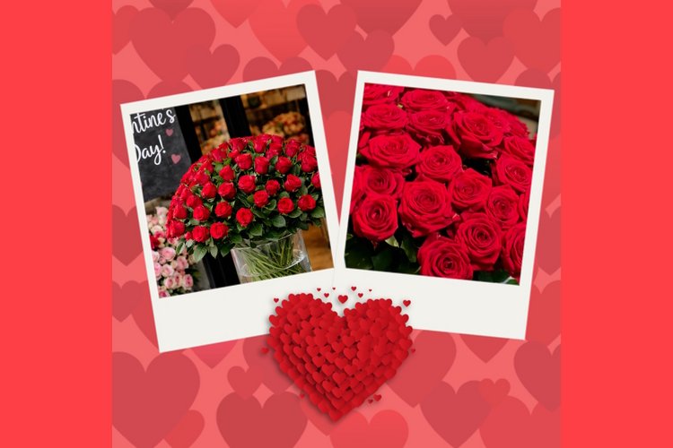 Valentijnsdag – een dag vol liefde!