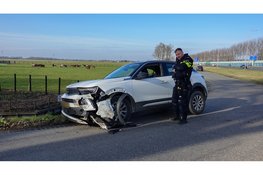 Auto's botsen bijna frontaal op elkaar in bocht Berkhout. Honden ongedeerd