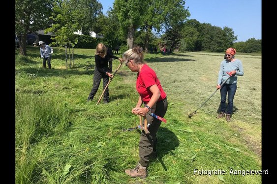 Groene doeners krijgen wind in de rug: 33 projecten van start in Noord-Holland